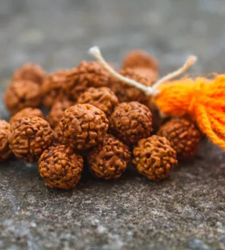 depositphotos_206559432-stock-photo-rudraksh-beads-loose-tassel-outdoors